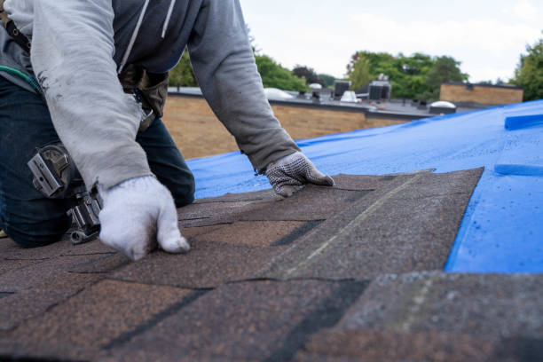 Roof Waterproofing Services in Michigan City, IN