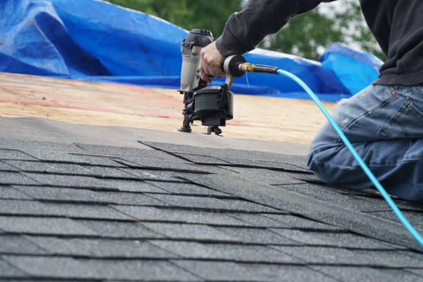 Best Flat Roof Repair Services  in Michigan City, IN