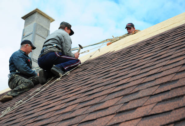 Roof Gutter Cleaning in Michigan City, IN